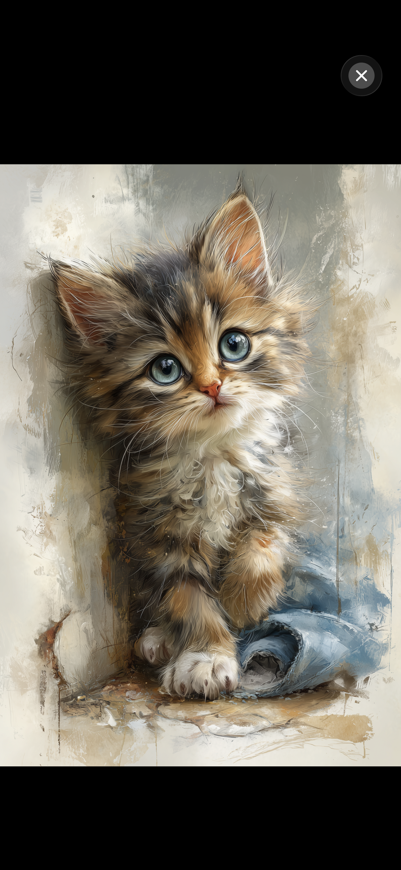 Full-screen feature image viewer